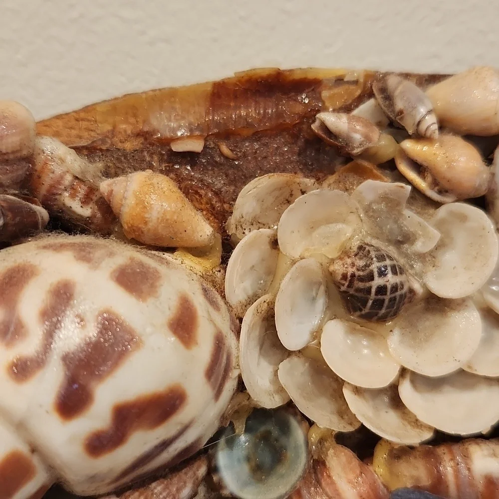 1970s handmade seashell oval mirror coastal beach